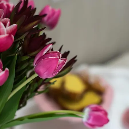 Отель Clitunno Мизано-Адриатико