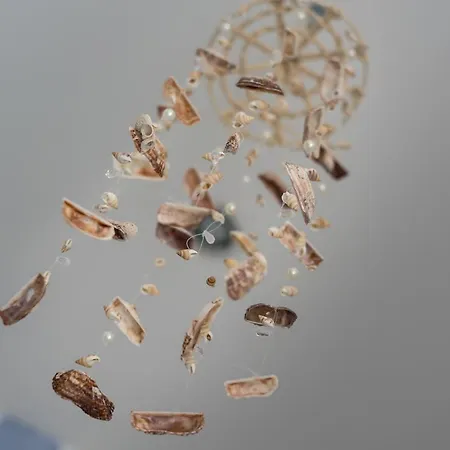 Clitunno Misano Adriatico