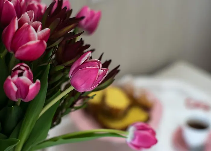 Hotell Clitunno Misano Adriatico