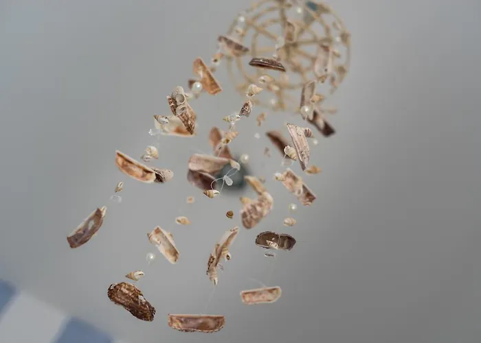 Clitunno Misano Adriatico